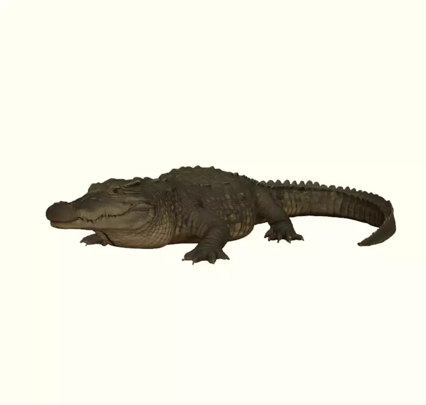 Crocodile Figurine 3D print model_0