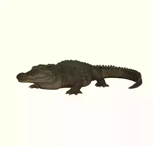 Crocodile Figurine 3D print model