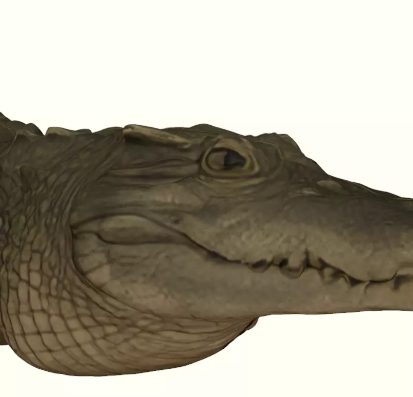 Crocodile Figurine 3D print model_22