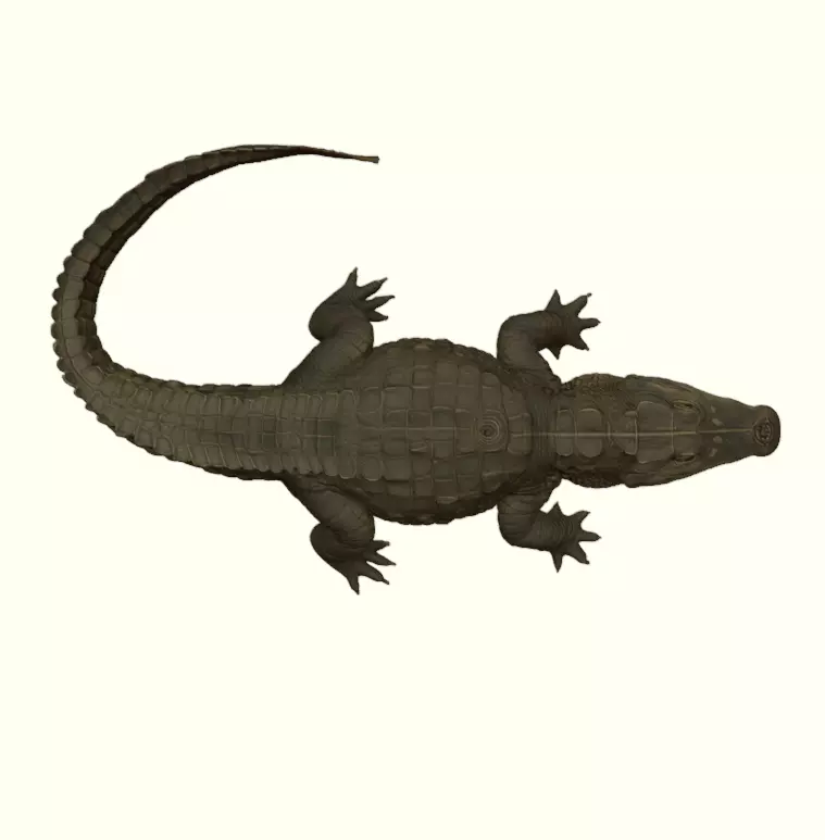 Crocodile Figurine 3D print model_17