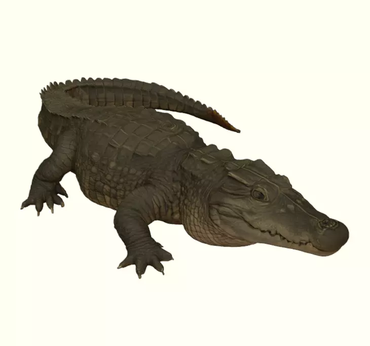 Crocodile Figurine 3D print model_5