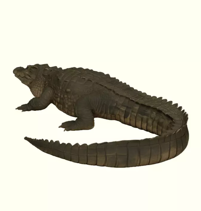 Crocodile Figurine 3D print model_13