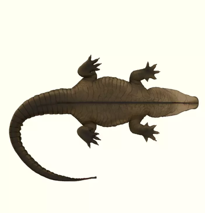 Crocodile Figurine 3D print model_19