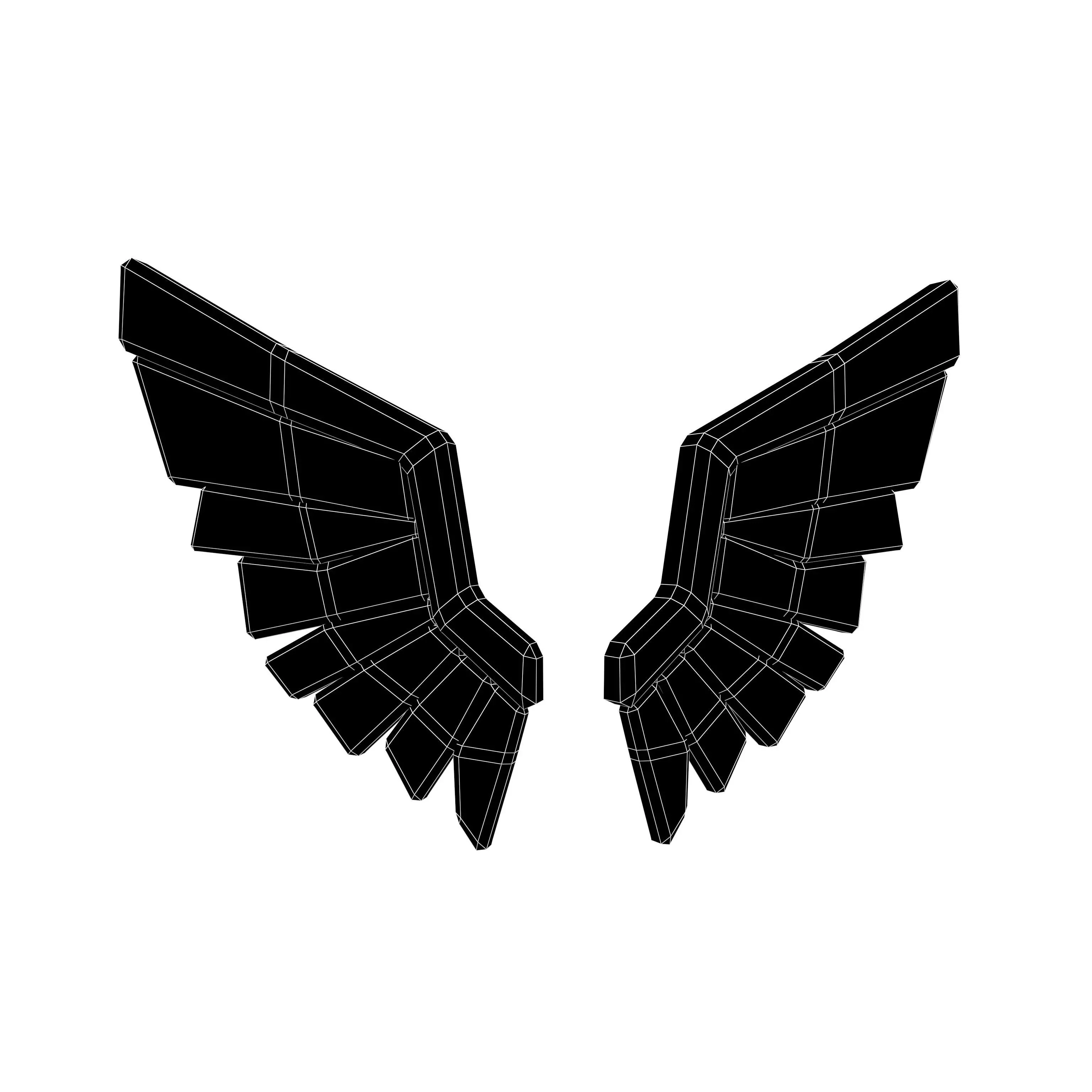 Low Poly Wings v9 001 Low-poly 3D model_4