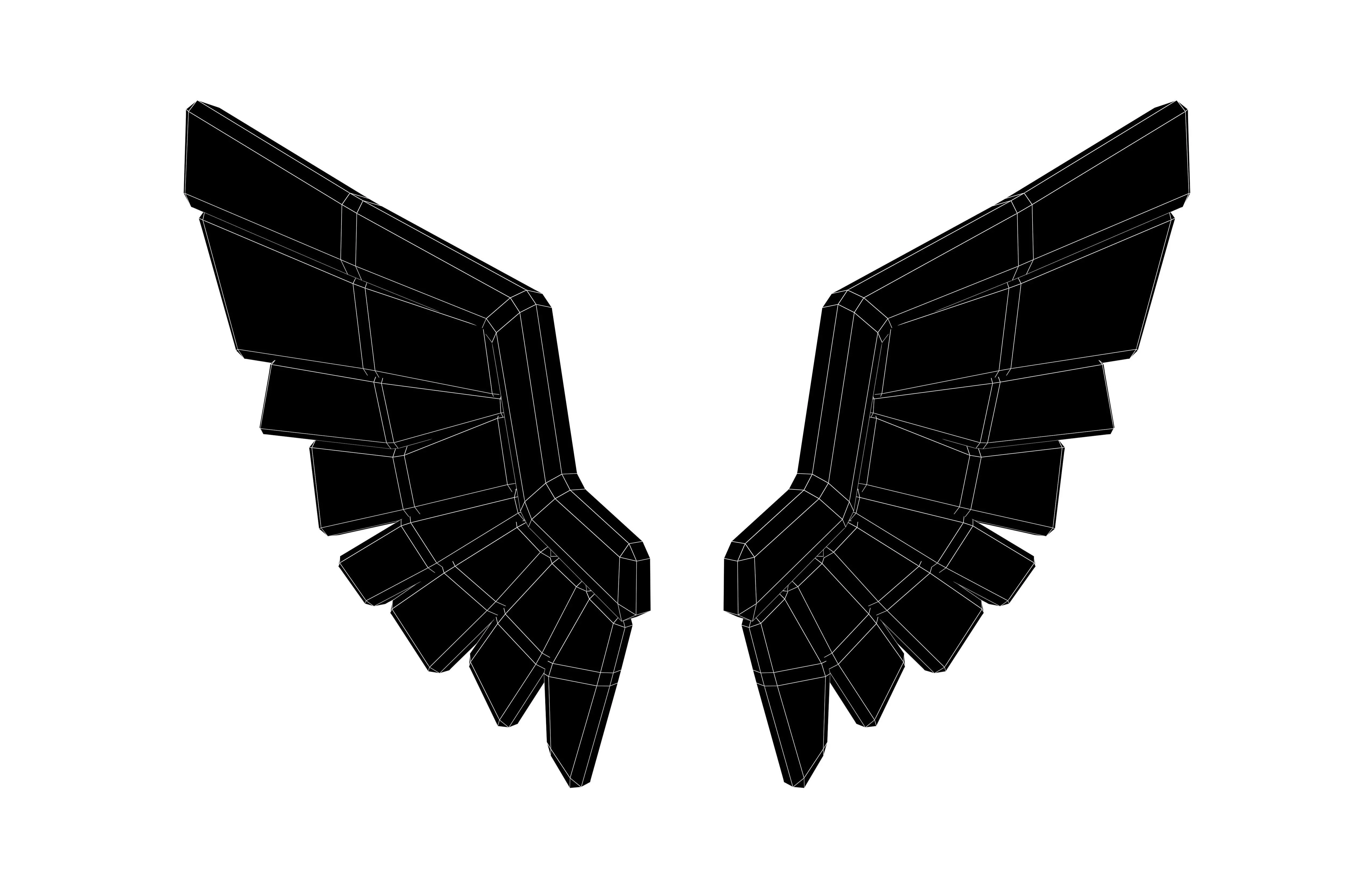 Low Poly Wings v9 001 Low-poly 3D model_5
