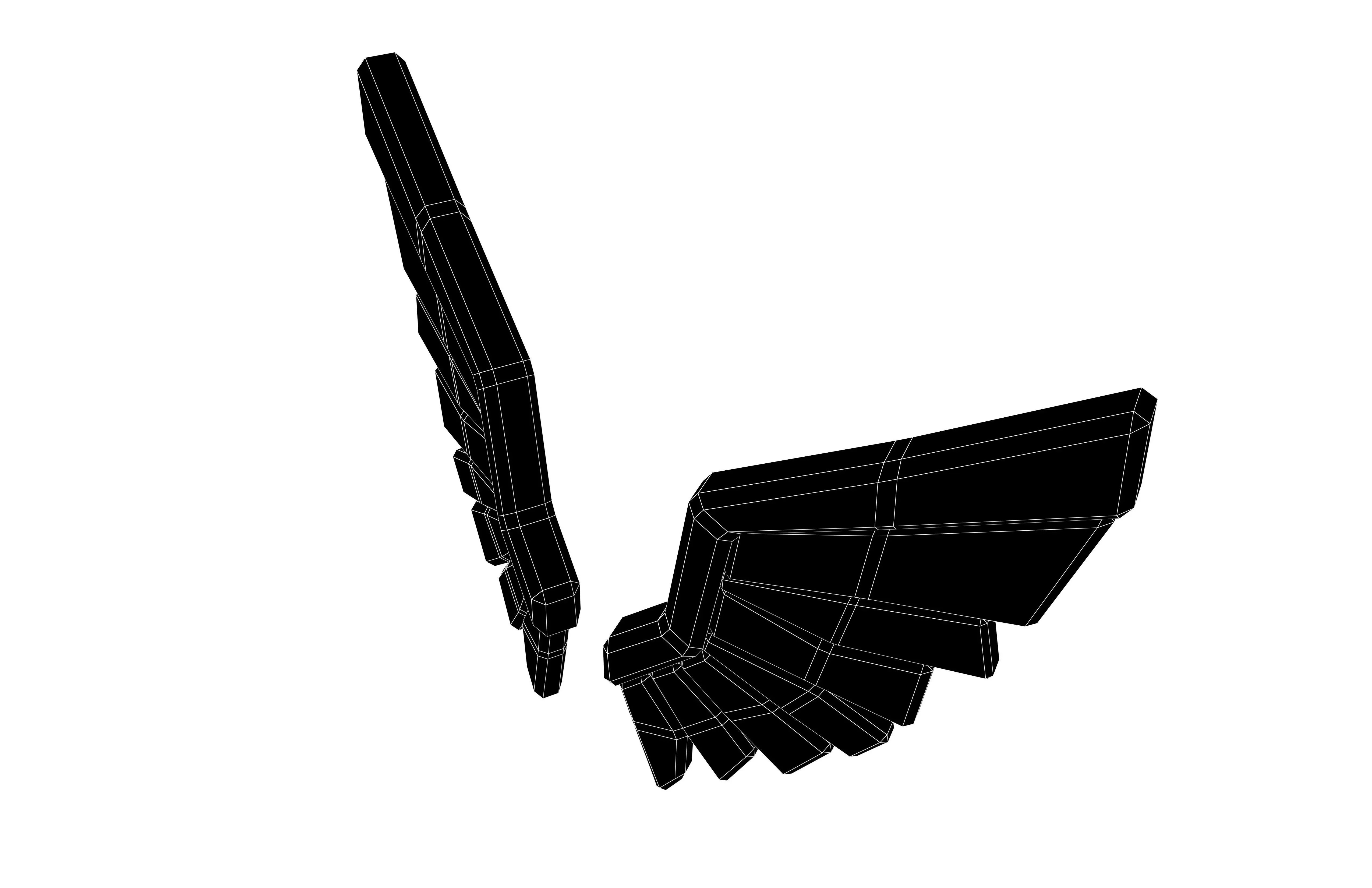 Low Poly Wings v9 003 Low-poly 3D model_6