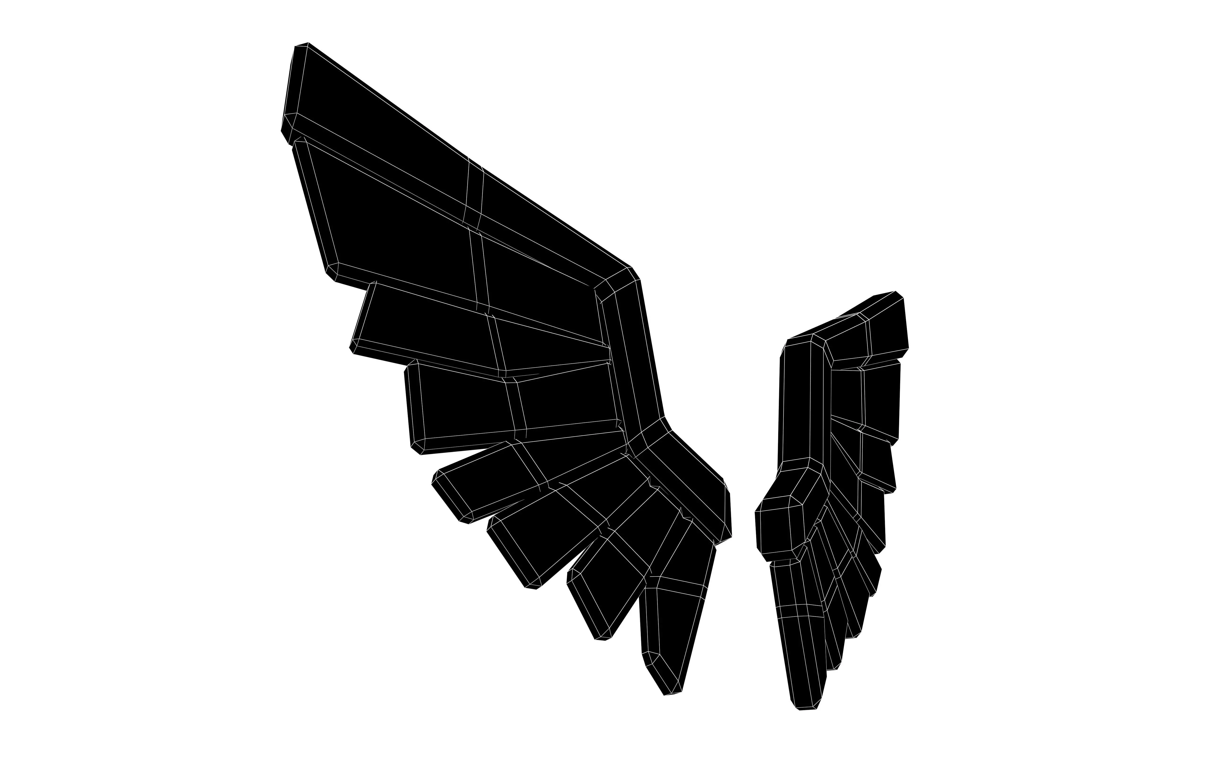 Low Poly Wings v9 003 Low-poly 3D model_7