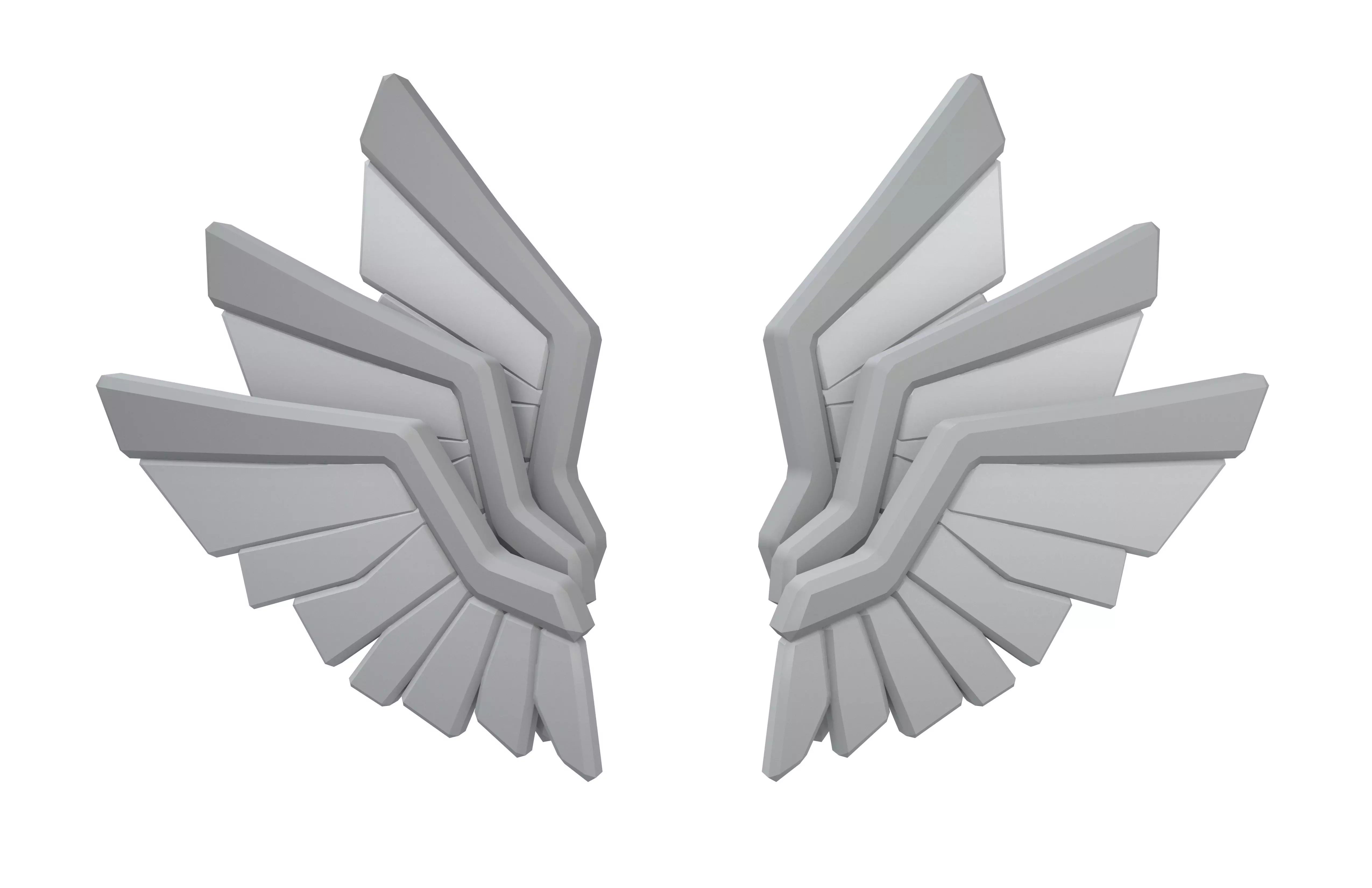 Low Poly Wings v10 001 Low-poly 3D model_1