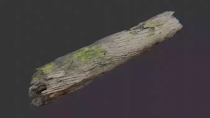 Fallen Tree Trunk Moss Log for Landscaping