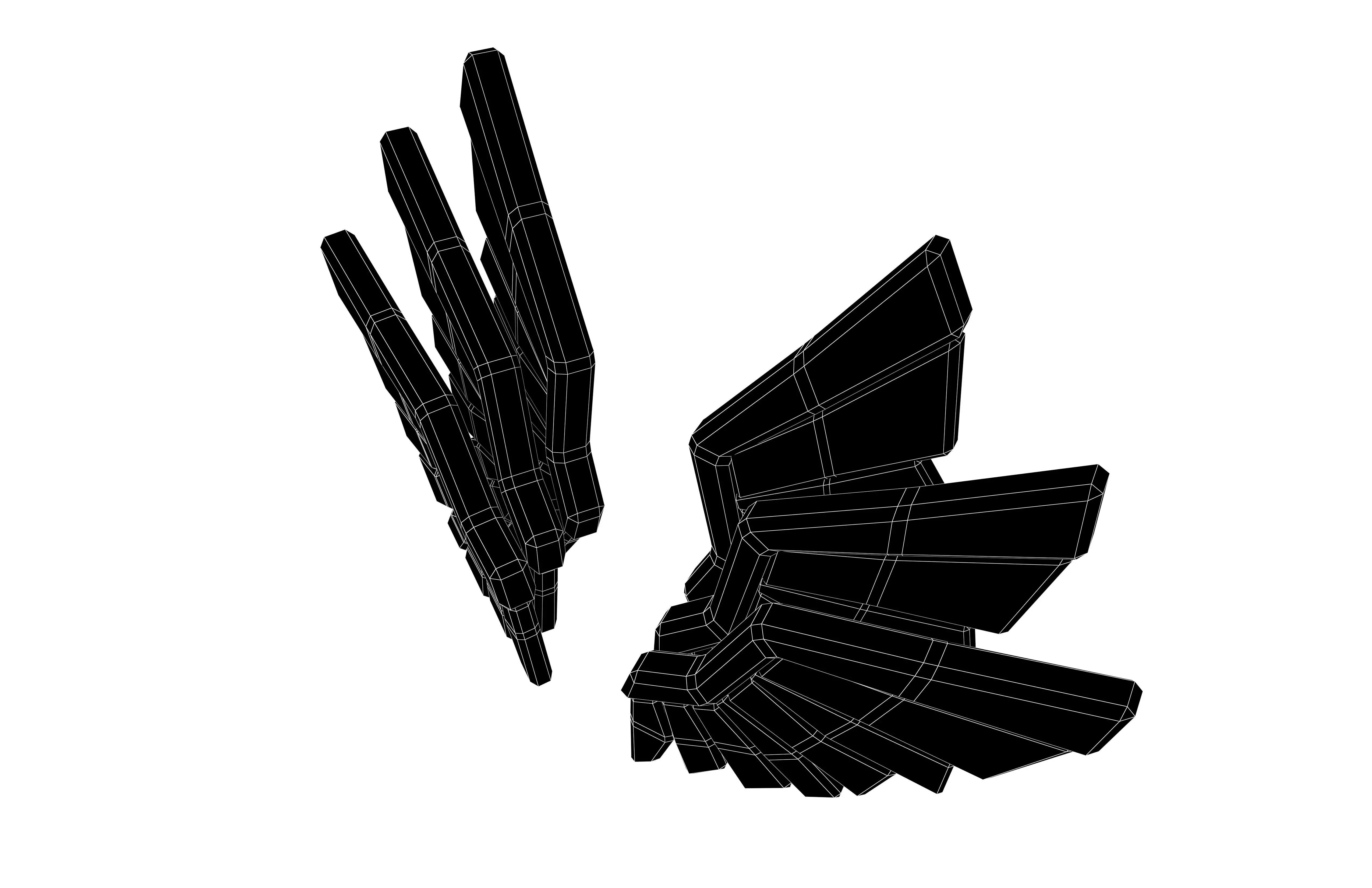 Low Poly Wings v10 002 Low-poly 3D model_7