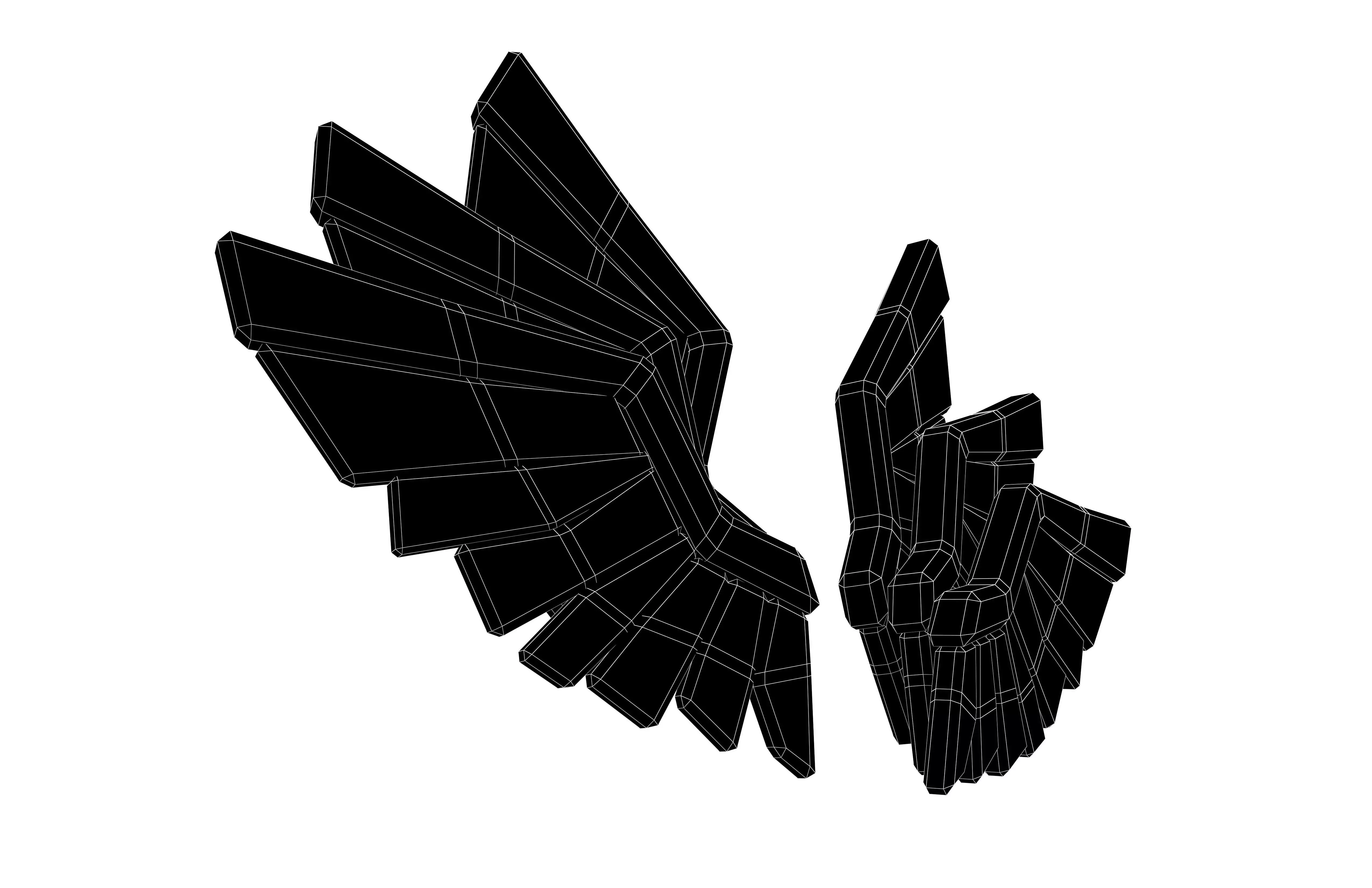 Low Poly Wings v10 003 Low-poly 3D model_4