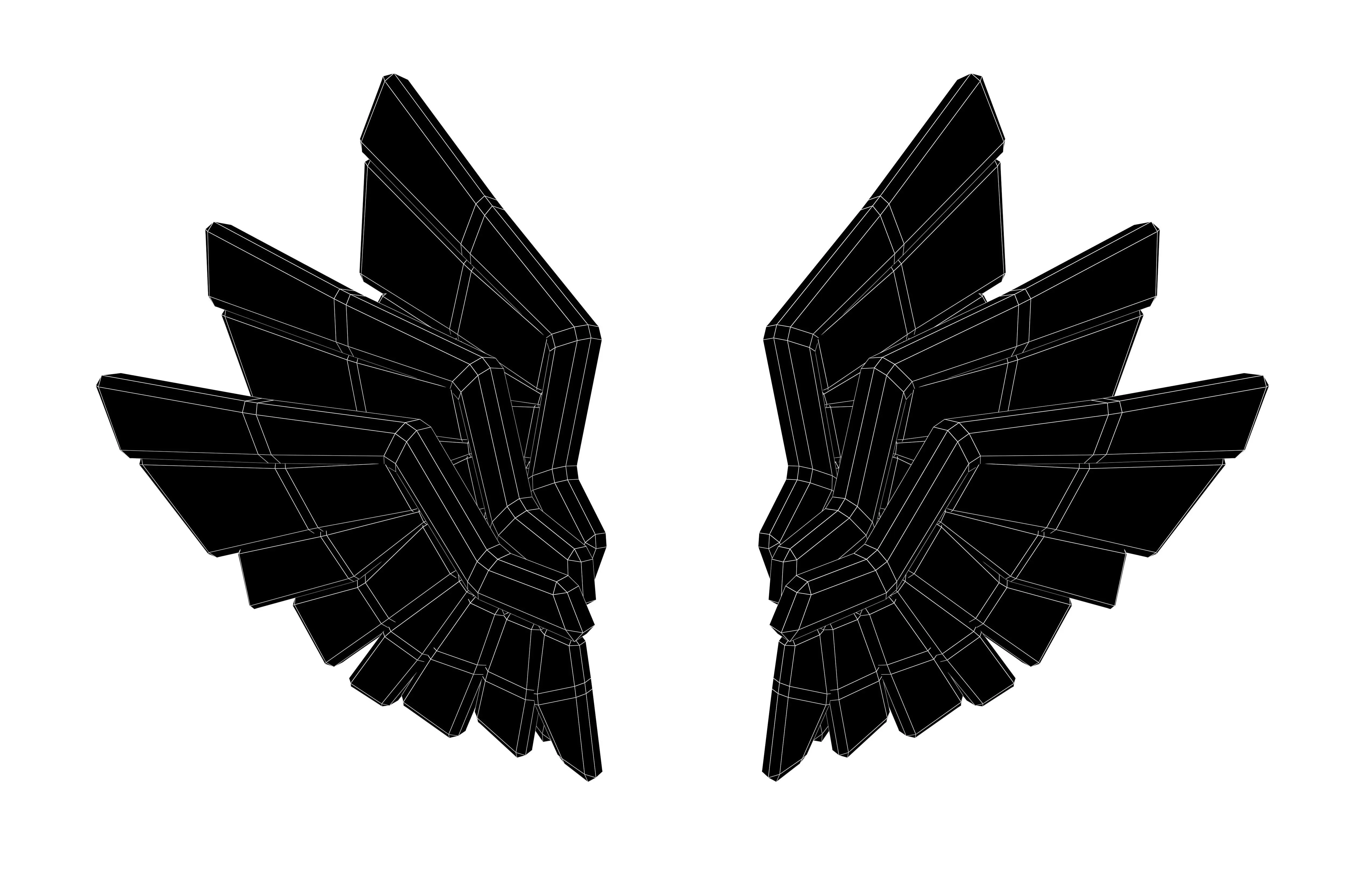 Low Poly Wings v10 006 Low-poly 3D model_6