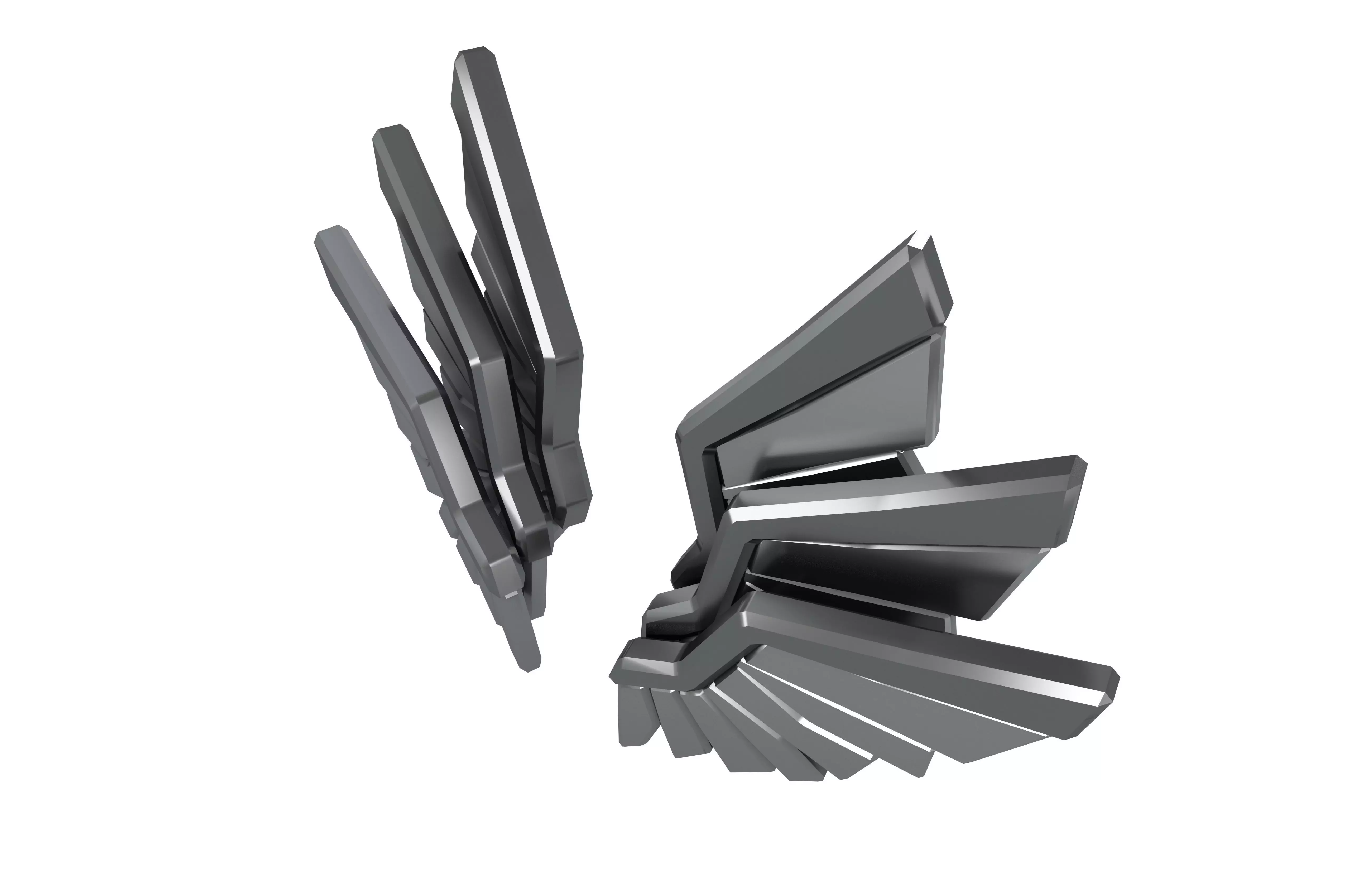 Low Poly Wings v10 006 Low-poly 3D model_2