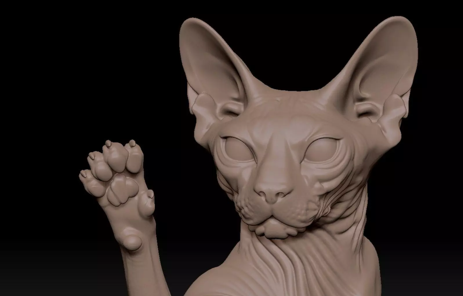 Sphynx lucky cat 3D print model_4