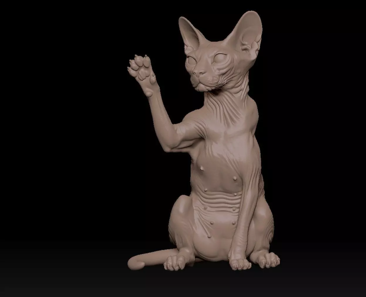 Sphynx lucky cat 3D print model_3