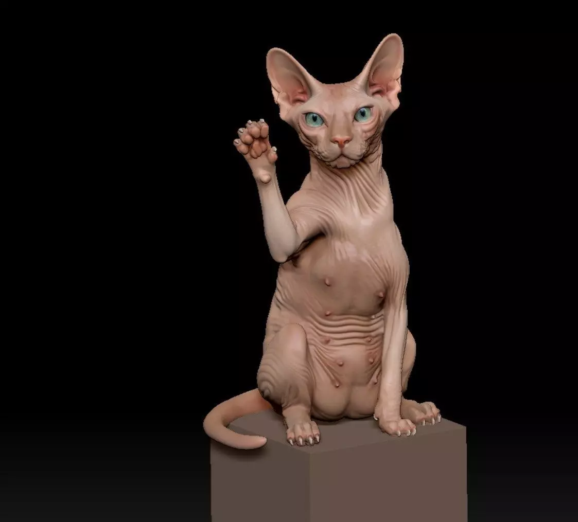 Sphynx lucky cat 3D print model_6