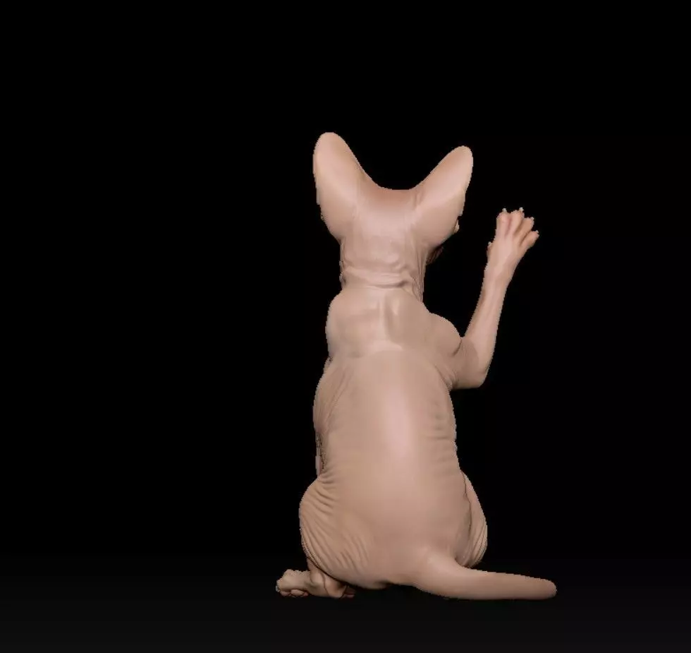 Sphynx lucky cat 3D print model_2