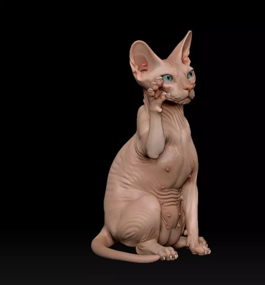 Sphynx lucky cat 3D print model_1