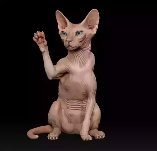 Sphynx lucky cat 3D print model Sphynx lucky cat 3D print model