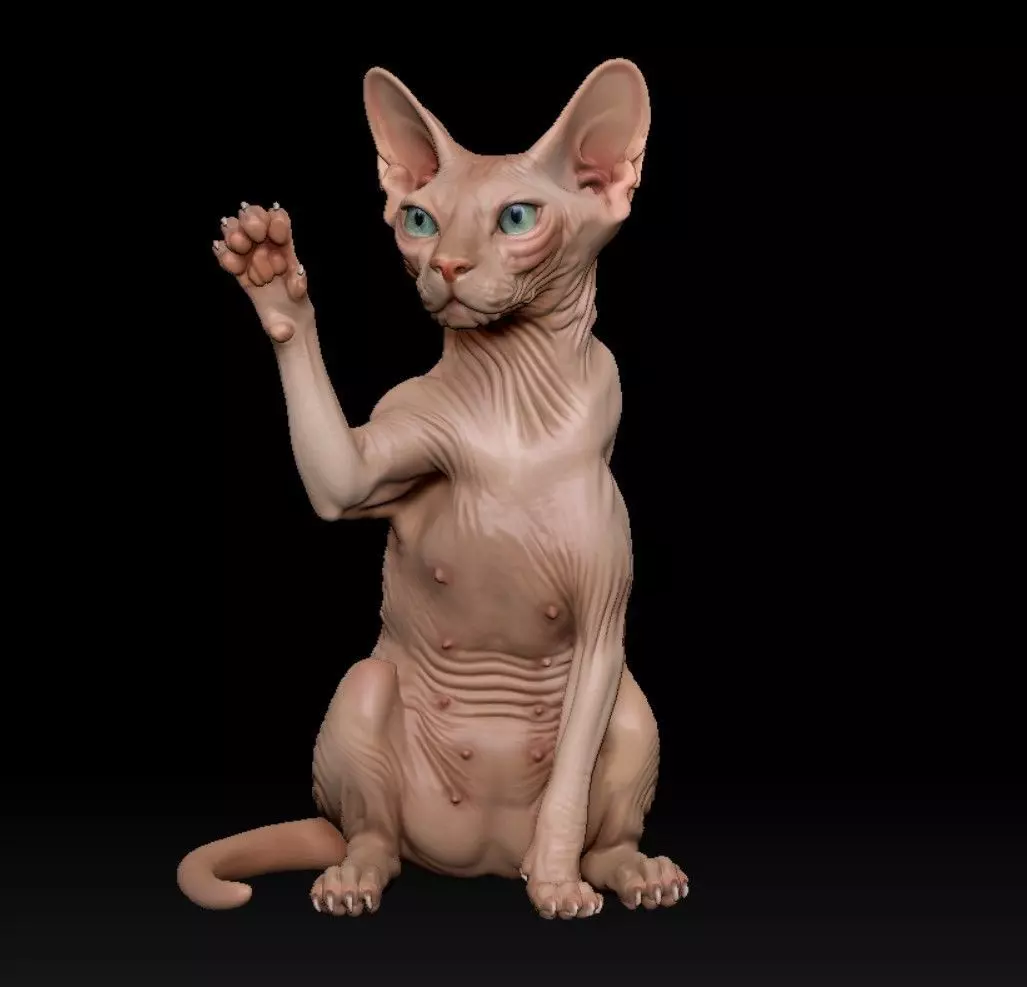 Sphynx lucky cat 3D print model_0