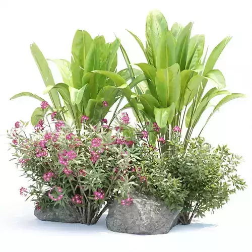 Outdoor Plants Vol 332