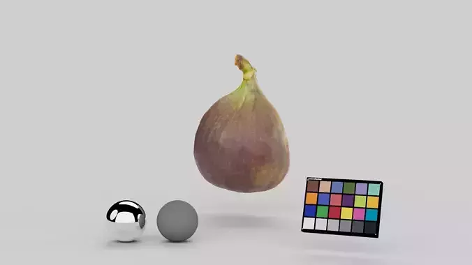Half Cut Fig Fruit 3D model 4