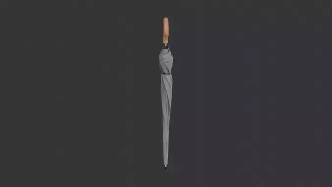 Closed Umbrella with Wood Handle