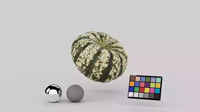 Decorative Pumpkin Gourd 01