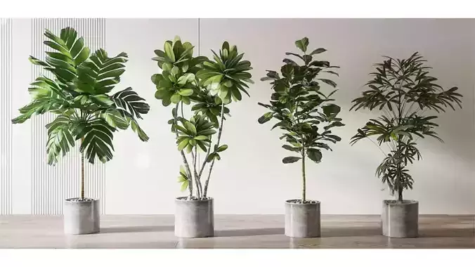 Nordic-Style Green Plants