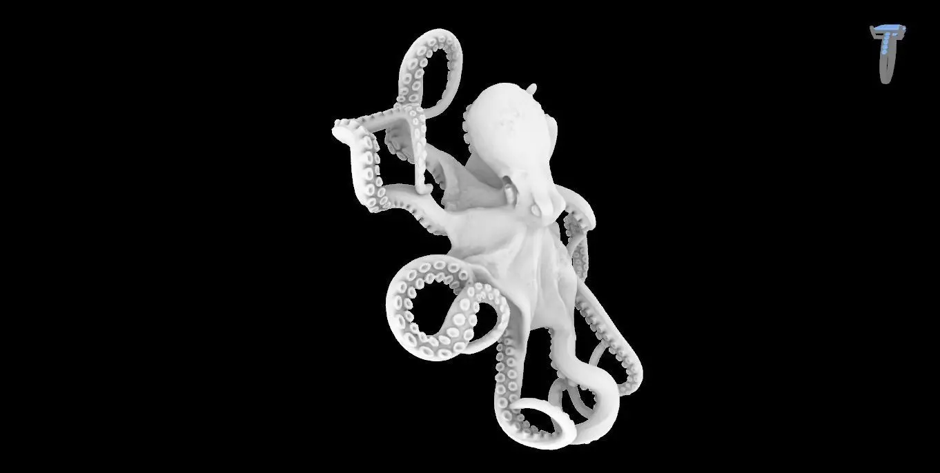 Octopus Pendant 3D print model_1