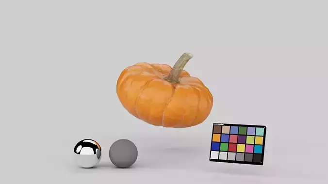 Decorative Pumpkin Gourd 02