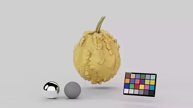 Decorative Pumpkin Gourd 03