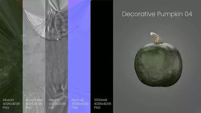 Decorative Pumpkin Gourd 04 3D model 6
