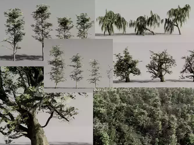 Realistic Trees - Asset Mega Pack