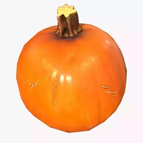 Pumpkin lowpoly and scan models