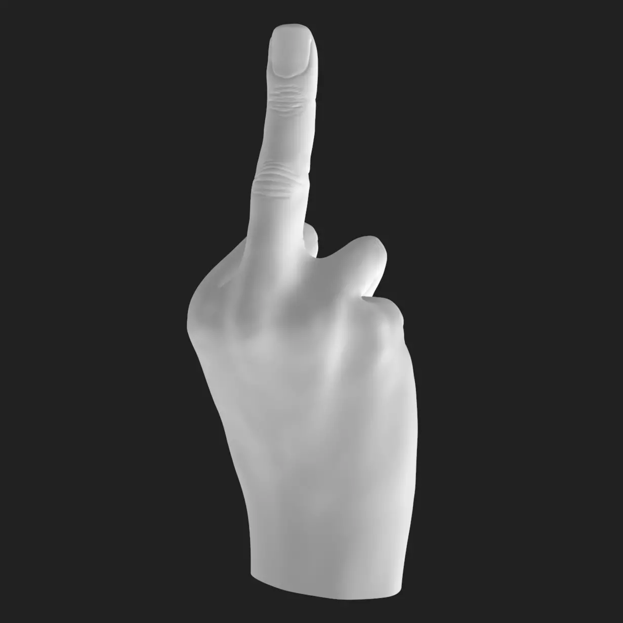 Flipping Off Hand STL Model Bold Decor Gift 3D Printable 3D print model_8