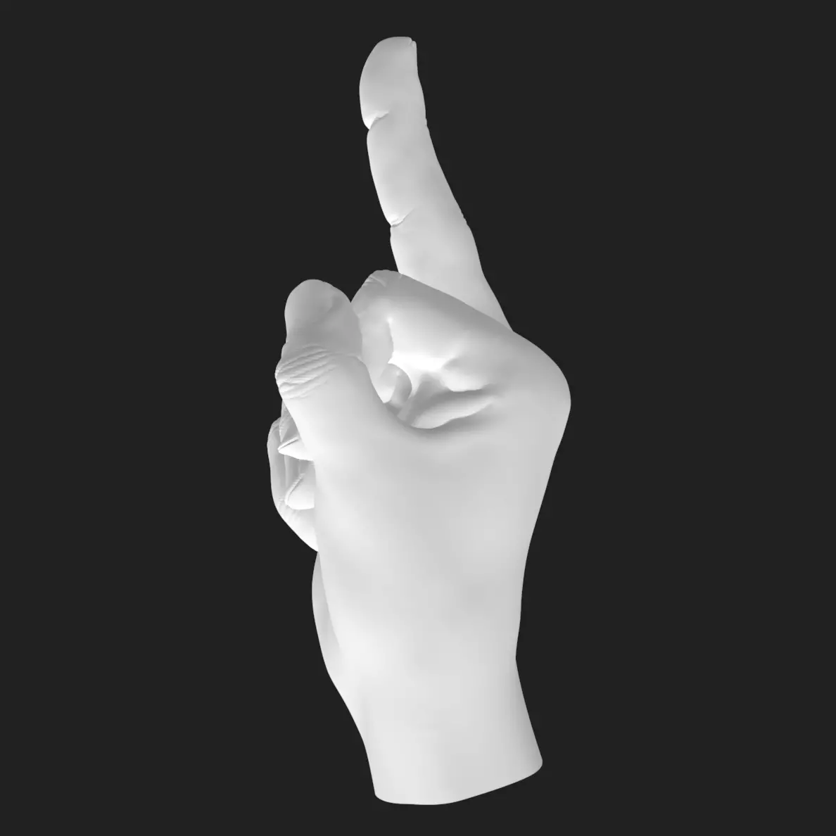 Flipping Off Hand STL Model Bold Decor Gift 3D Printable 3D print model_4