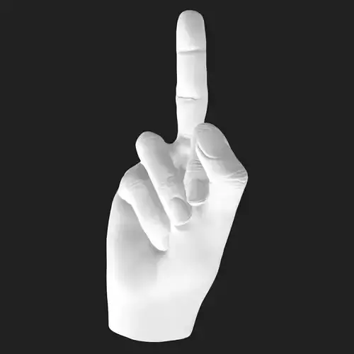 Flipping Off Hand STL Model Bold Decor Gift 3D Printable