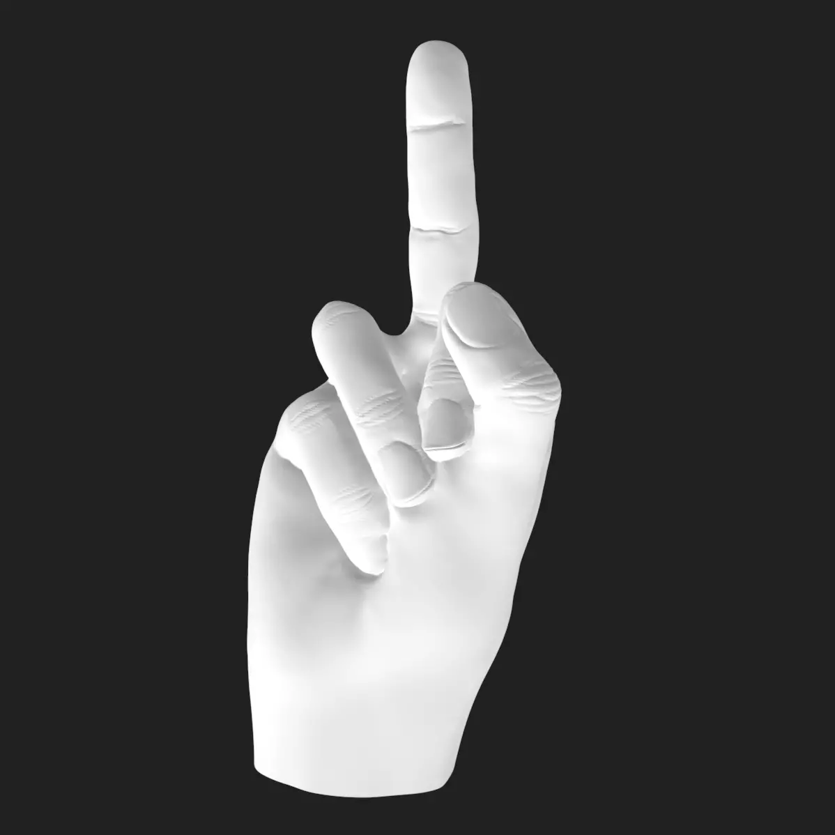 Flipping Off Hand STL Model Bold Decor Gift 3D Printable 3D print model_3