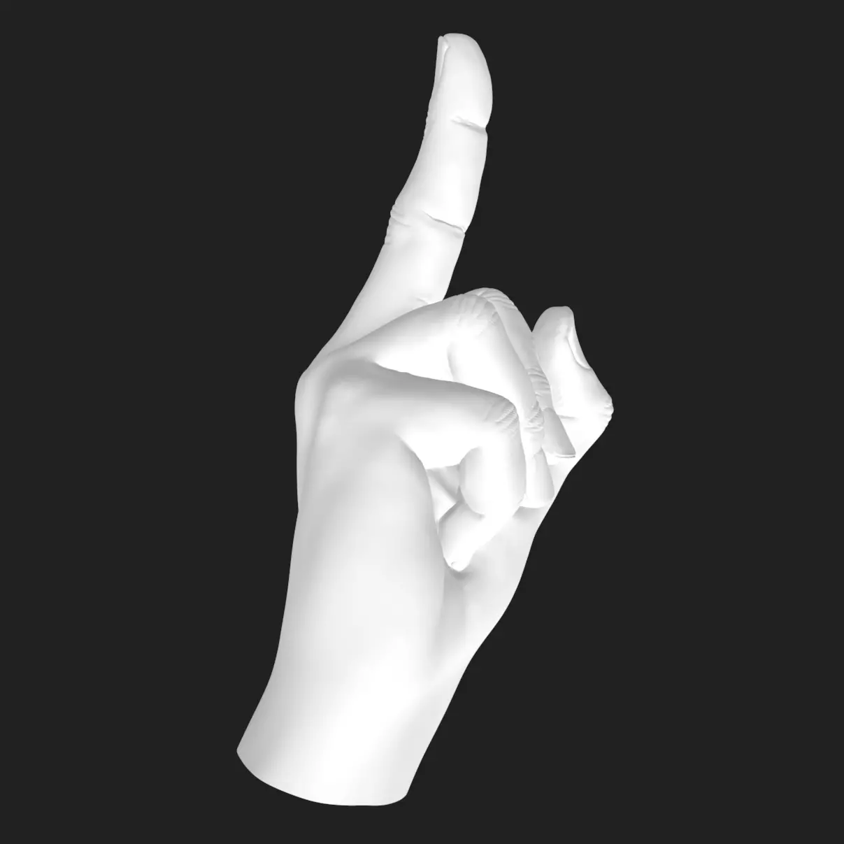 Flipping Off Hand STL Model Bold Decor Gift 3D Printable 3D print model_5