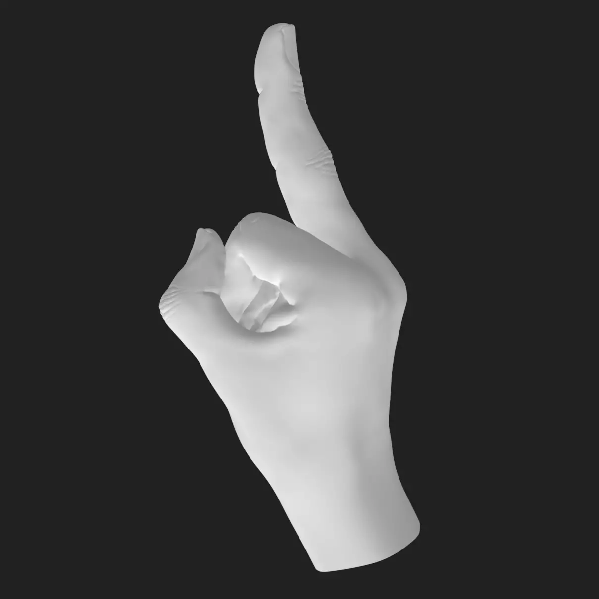 Flipping Off Hand STL Model Bold Decor Gift 3D Printable 3D print model_1