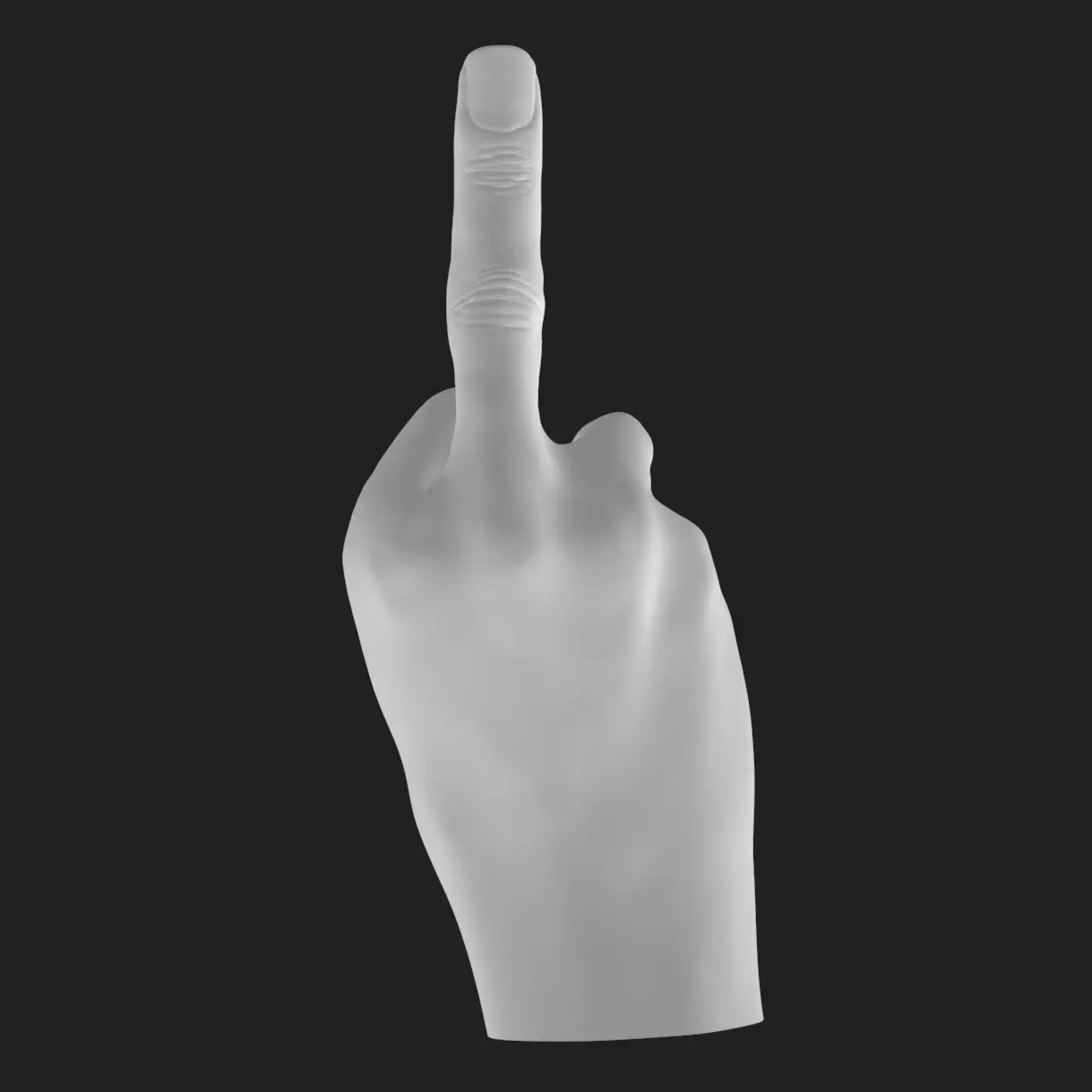Flipping Off Hand STL Model Bold Decor Gift 3D Printable 3D print model_7