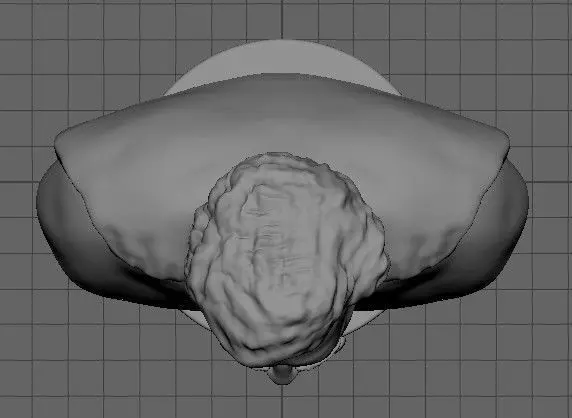 Superman 12 3D print model_5