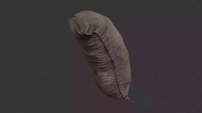 Arabic Canvas Bag 01 Fabric Tote Mockup