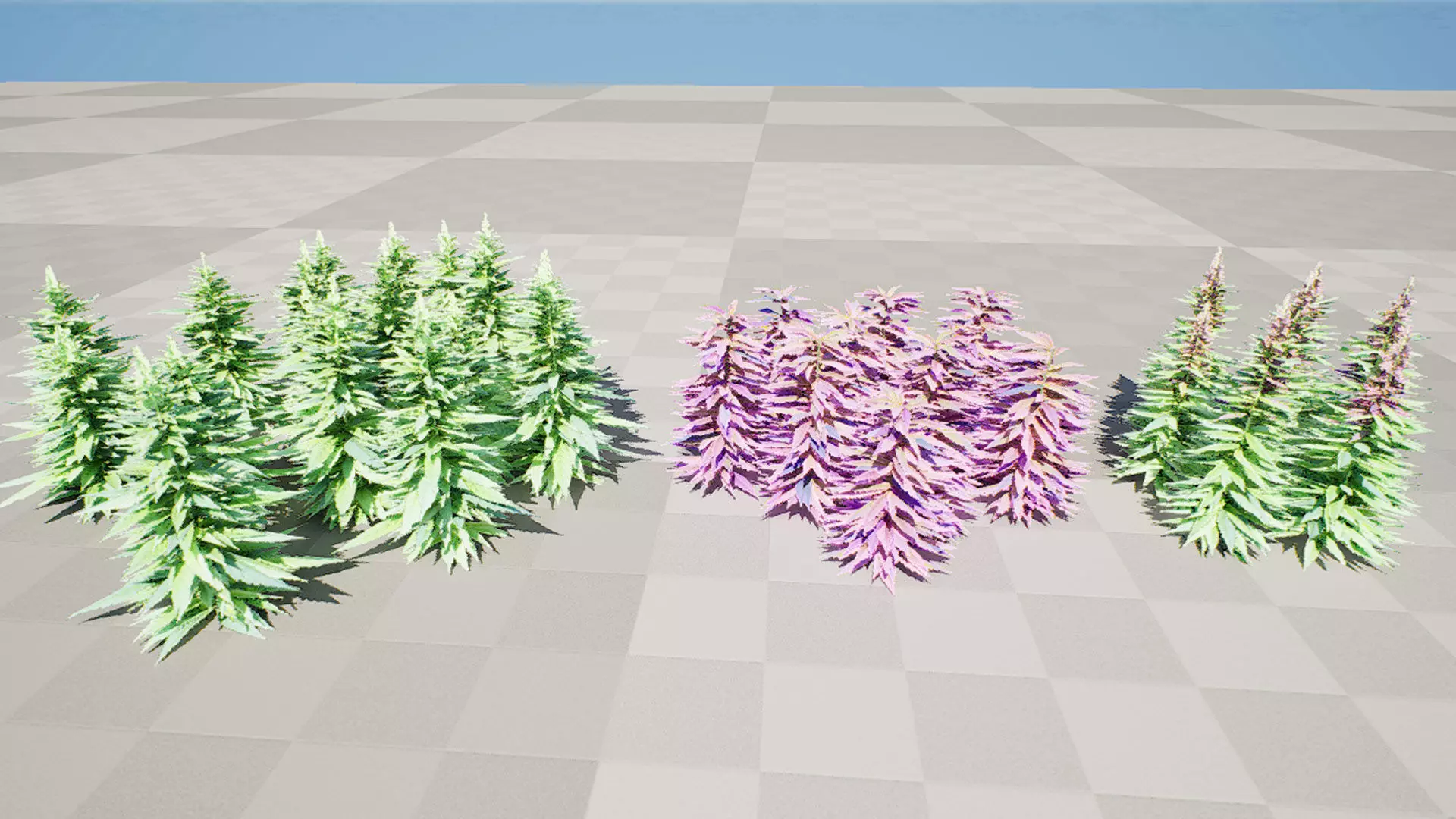 British Hemp Flowers 3D Model Low-poly 3D model_9