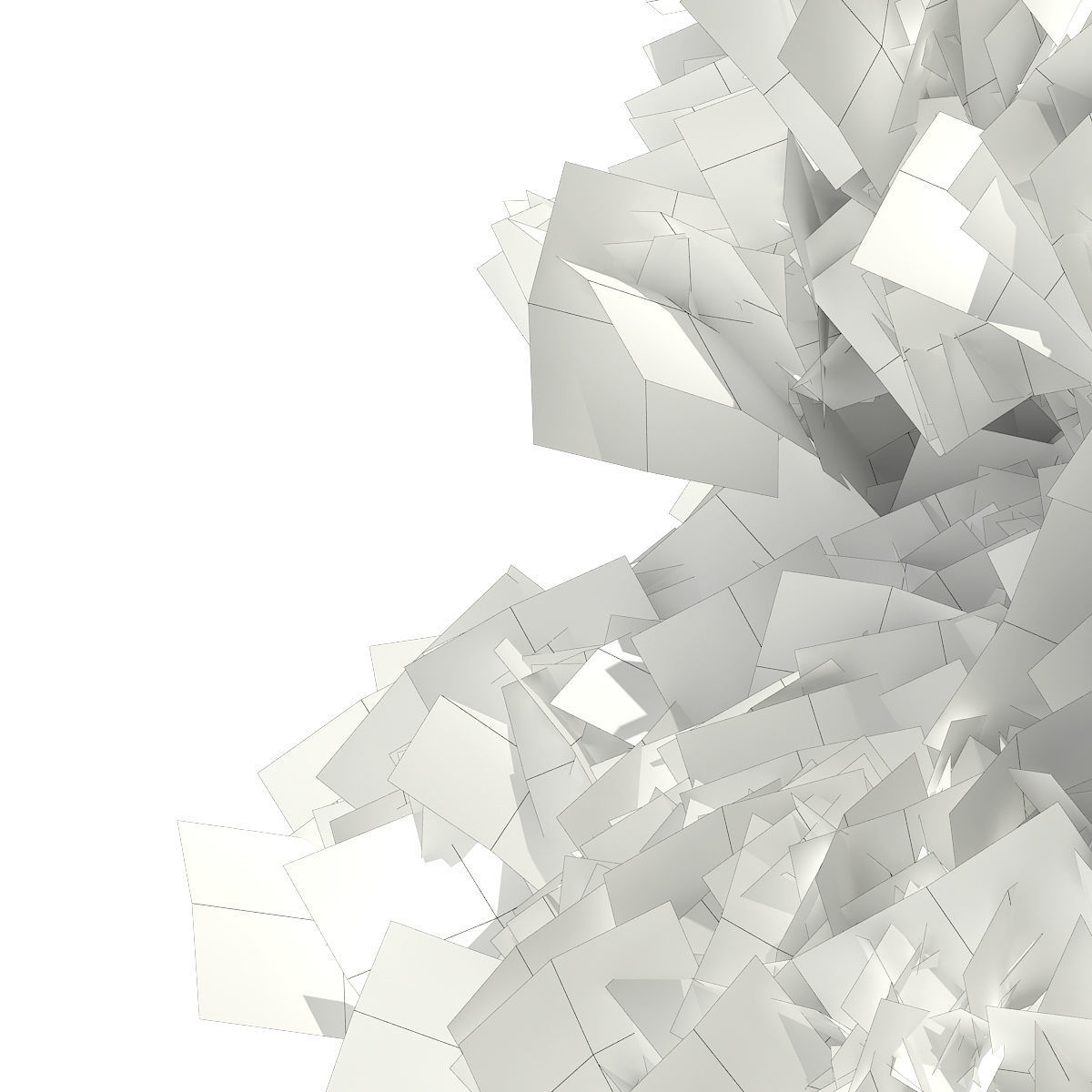 White Cedar Thuja occidentalis 6m 3D model_7