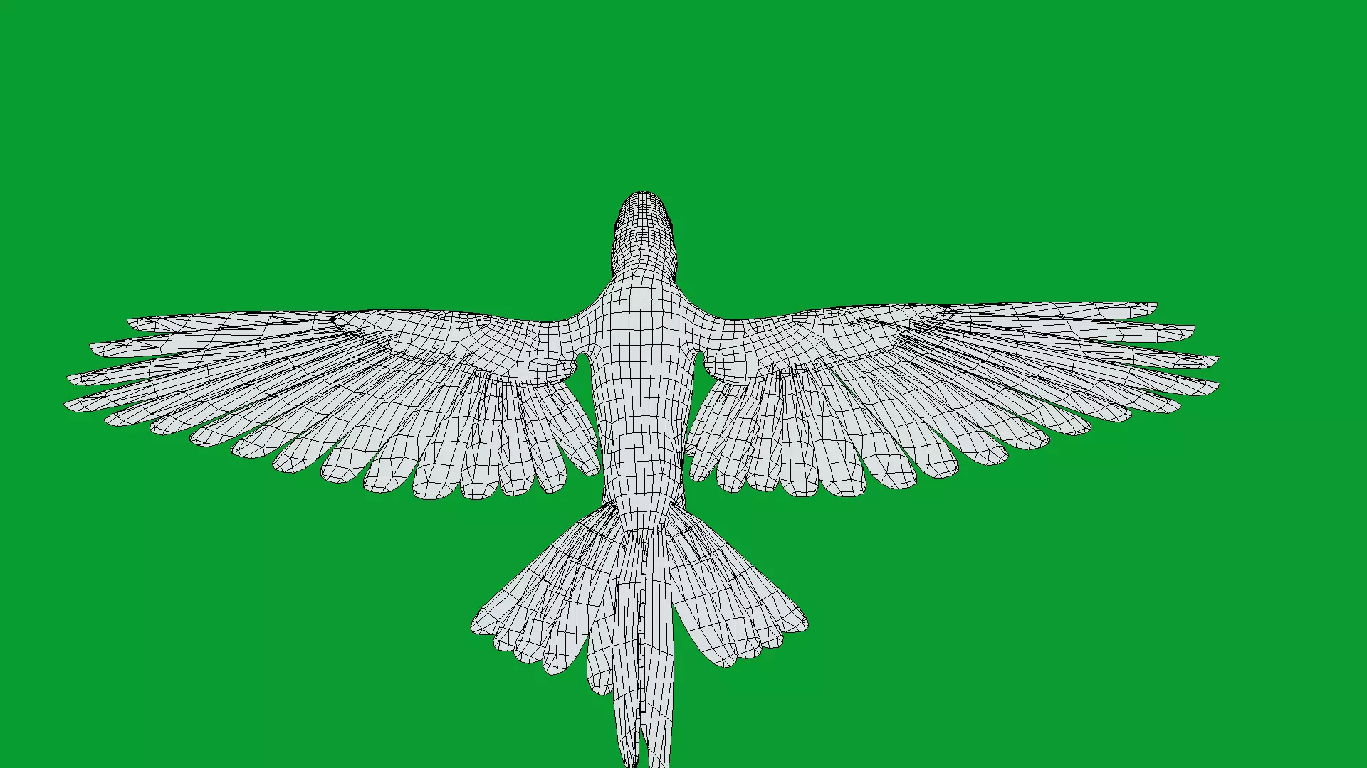 Macaw Ara Parrot Bird Low-poly 3D model_21