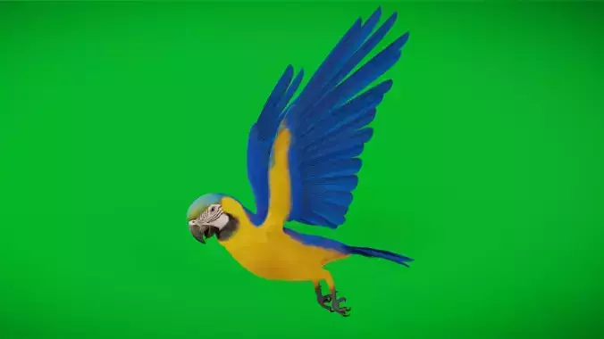 Macaw Ara Parrot Bird Low-poly 3D model Macaw Ara Parrot Bird Low-poly 3D model