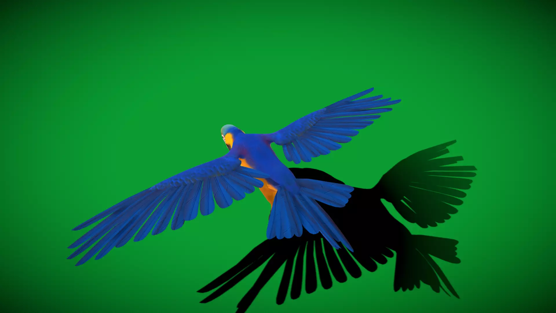 Macaw Ara Parrot Bird Low-poly 3D model_32