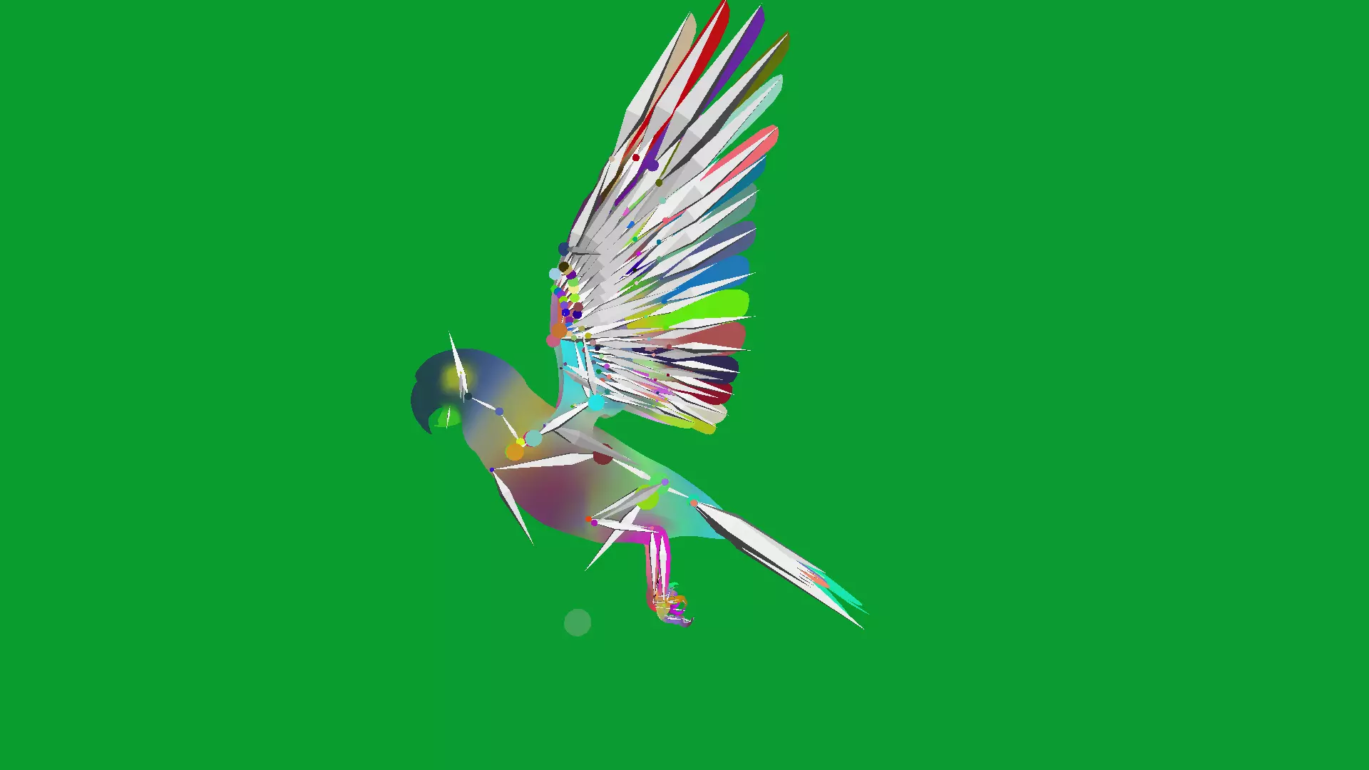 Macaw Ara Parrot Bird Low-poly 3D model_28